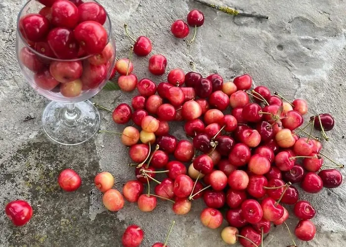 Cascina Bricco 'ein Balkon In Den Alpen By Interhome *